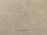 Kallimarmaron Fossil Green 53692 53697 IMG 3520